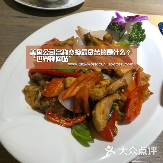 2026世界杯官网