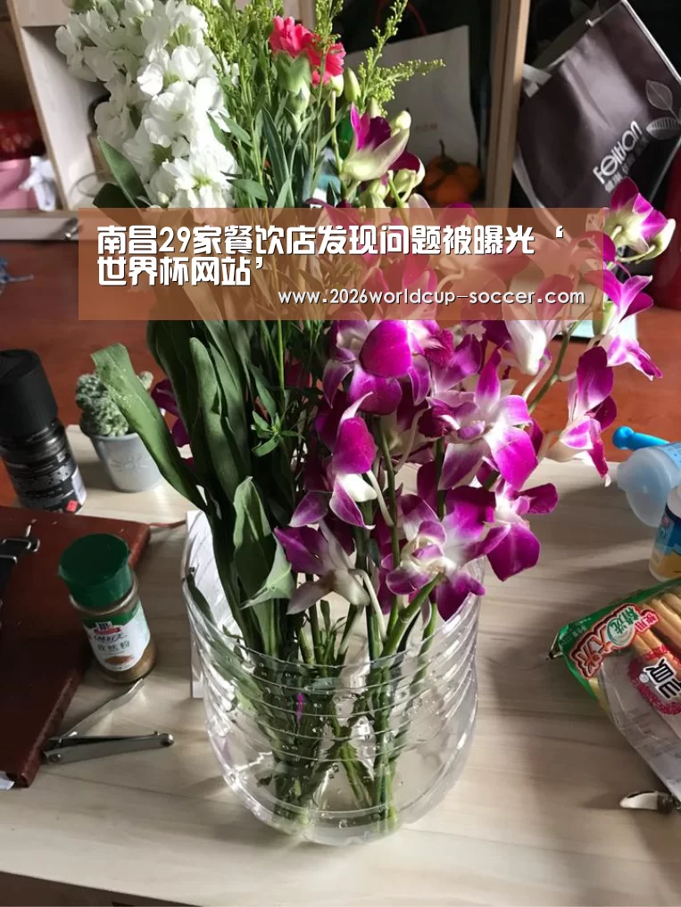 2026世界杯官网