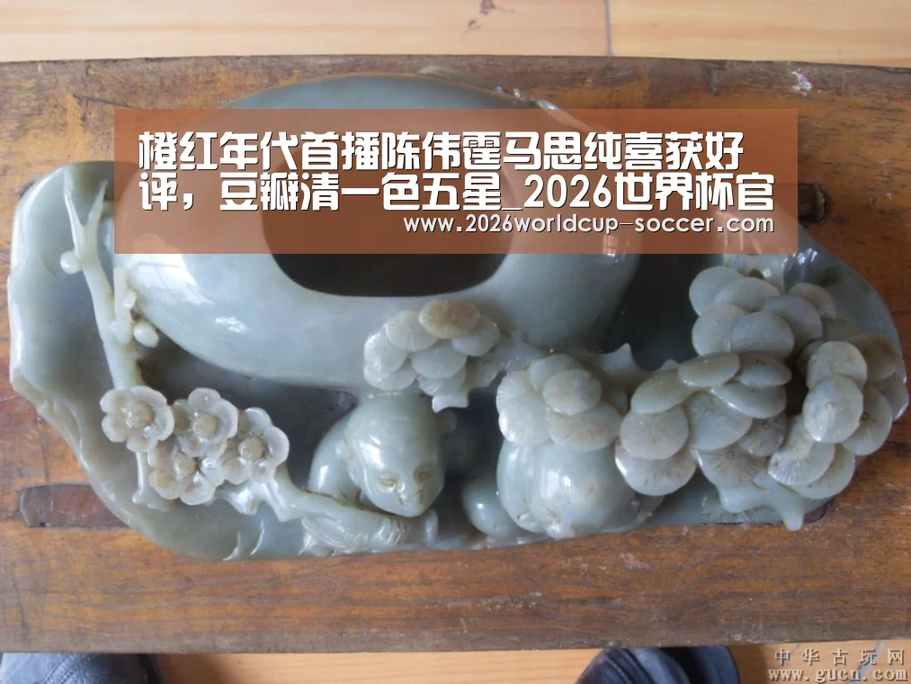 橙红年代首播陈伟霆马思纯喜获好评,豆瓣清一色五星_2026世界杯官网(图1) 2026世界杯